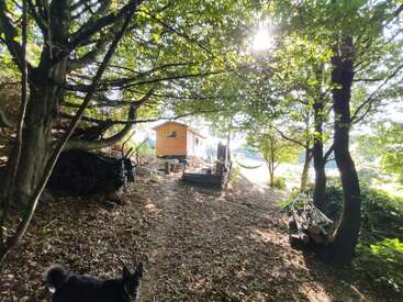 En el bosque se encuentra una pequeña cabaña de madera, rodeada de árboles y bañada por la luz del sol. En primer plano hay un perro, con troncos y materiales naturales a su alrededor.