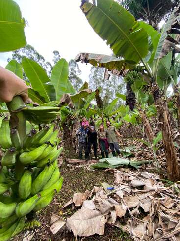 Un grupo formado por cuatro adultos y un niño posa sonriente en una frondosa plantación de plátanos, mientras alguien en primer plano sostiene un gran racimo de plátanos verdes.