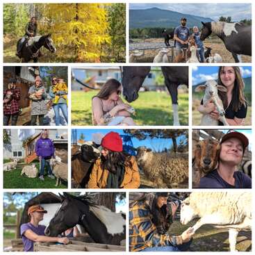 La imagen es un collage de nueve fotos en las que aparecen personas interactuando con caballos y ovejas en una granja, mostrando una relación pacífica y armoniosa entre humanos y animales.