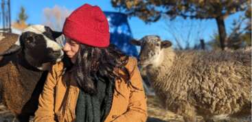 The image is a collage of nine photos featuring people interacting with horses and sheep on a farm, showcasing a peaceful and harmonious relationship between humans and animals.