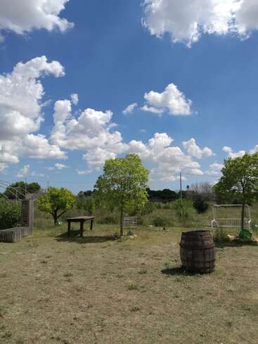 A imagem retrata uma paisagem rural serena, com um campo gramado com árvores, uma mesa de madeira e um barril, em um céu azul com nuvens brancas.