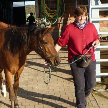 The image depicts a woman leading a brown horse on a leash, set against the backdrop of a stable with a brick floor and a white gate.