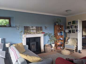 This cozy living room features a blue accent wall, fireplace, gray sofa, armchair, bookshelf, plants, artwork, and photographs, creating a warm and inviting atmosphere.