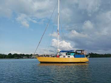 Un velero de color amarillo brillante con detalles azules navega tranquilamente por aguas en calma, bajo un cielo parcialmente nublado. Al fondo se divisan la costa y los árboles.