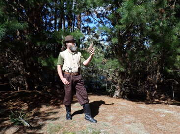 Ein bärtiger Mann in alter Forscherkleidung steht in einem sonnenbeschienenen Wald und betrachtet einen großen Tannenzapfen. Er trägt einen Hut, Stiefel und eine braune Hose und ist von Bäumen umgeben.