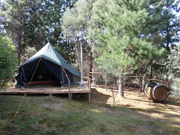 Ein grünes Zelt aus Segeltuch steht auf einer hölzernen Plattform auf einer sonnenbeschienenen Waldlichtung, umgeben von hohen Kiefern und einem rustikalen Holzfass an der Seite.