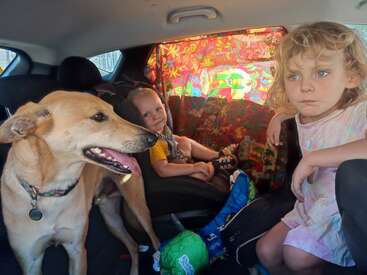 A imagem mostra o banco traseiro de um carro com duas crianças e um cachorro, com cortinas coloridas e brinquedos espalhados.