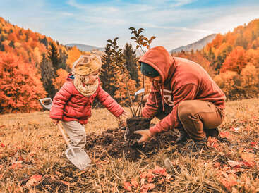 A child and adult, dressed warmly, plant a small tree together on an autumn hillside surrounded by vibrant, colorful foliage under a partly cloudy sky.
