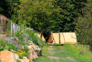 Two canvas tents are nestled among tall trees and vibrant wildflowers. A dirt path winds by a rock garden, leading to the peaceful, green camping scene.