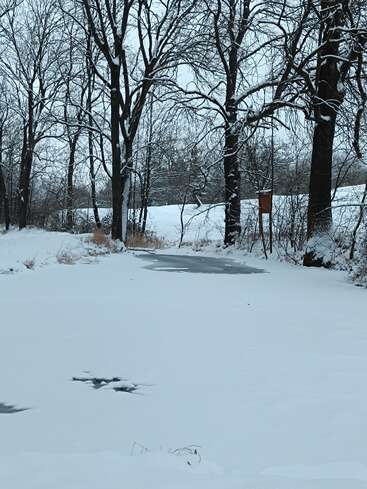 Ein schneebedeckter, zugefrorener Teich ist im Winter von kahlen Bäumen umgeben. Die Landschaft wirkt friedlich, und unberührter weißer Schnee bedeckt die gesamte Szenerie.