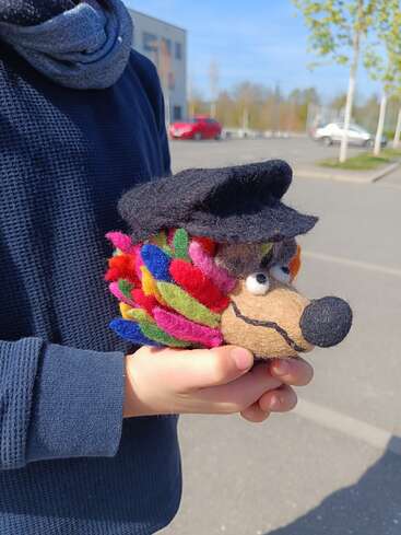 Eine Person in einem blauen Pullover hält ein buntes Plüschtier in Form eines Igels mit schwarzem Hut in der Hand. Im Hintergrund sind draußen geparkte Autos und Gebäude zu sehen.