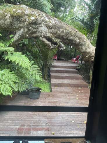 A lush garden scene with wooden decking, ferns, and tropical plants. A large tree arches over the path. Two red chairs are visible in the background.
