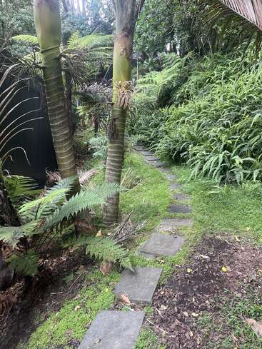 A narrow stone pathway winds through a lush, green garden filled with ferns, palm trees, dense foliage, and mossy ground, creating a tranquil, tropical atmosphere.