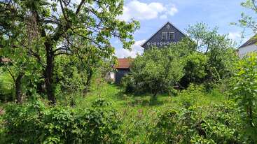 A house with a dark roof stands amid lush greenery, surrounded by overgrown trees and bushes under a bright blue sky with scattered clouds. Peaceful.