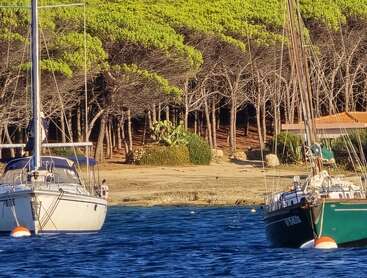 Deux voiliers sont ancrés sur l'eau bleue près d'un rivage sablonneux. Derrière eux, des arbres verts denses et un petit chalet créent une scène côtière sereine et paisible.