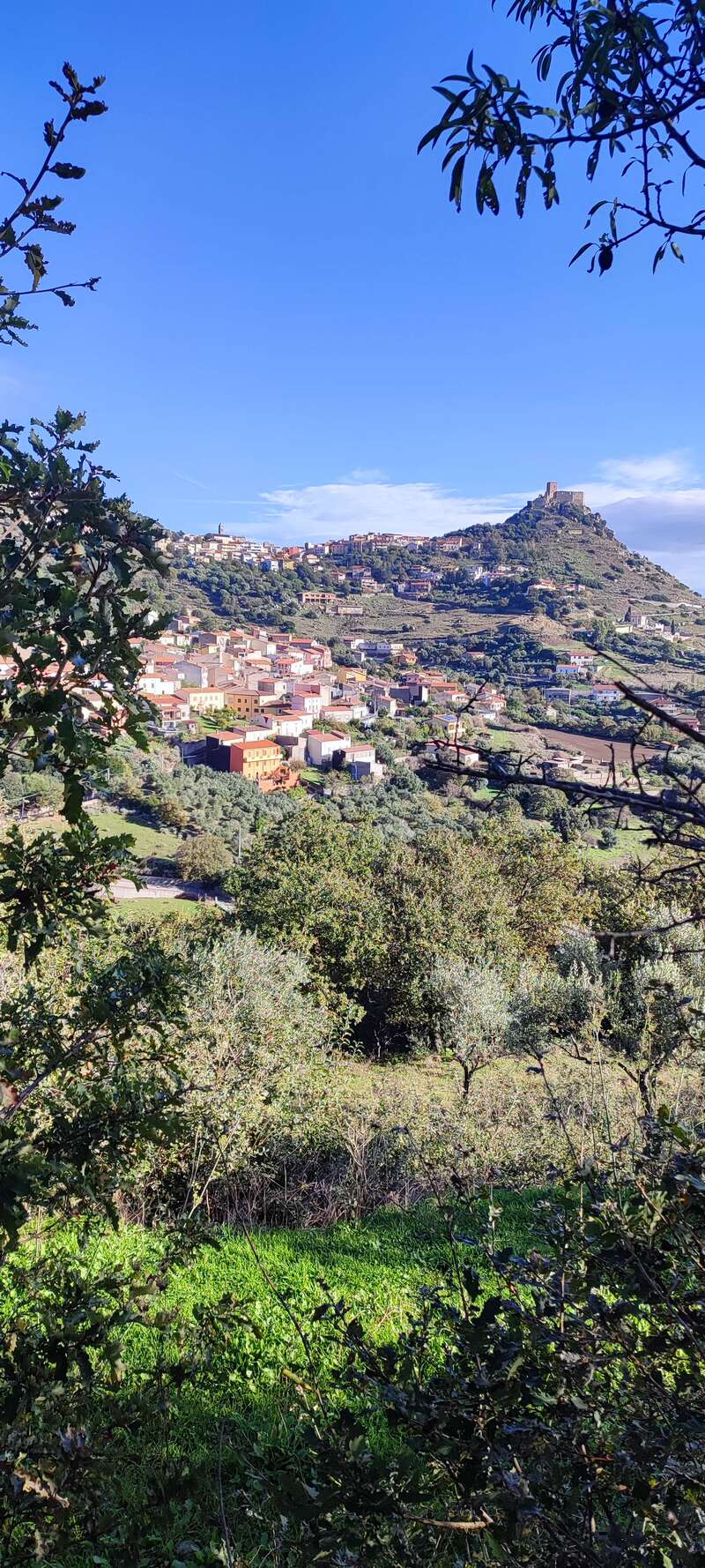 Das Bild zeigt eine ruhige Landschaft mit einer kleinen Stadt oder einem Dorf, mit einer Ansammlung von Gebäuden und Bäumen vor einer Kulisse aus sanften Hügeln und einem klaren blauen Himmel.