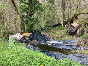 Un claro en el bosque con plantas verdes, troncos caídos y láminas de plástico negro esparcidas por todas partes. El agua se acumula sobre el plástico, lo que sugiere que se trata de un vertedero abandonado o improvisado.