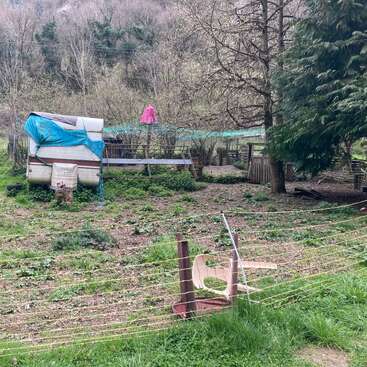Una zona exterior en mal estado en la que se pueden ver una valla torcida, una silla de plástico, una vieja caravana cubierta con una lona azul, vegetación dispersa, árboles y una sombrilla rosa cerca de los corrales de los animales.