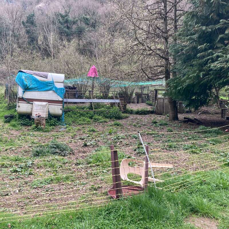 Una zona exterior en mal estado en la que se pueden ver una valla torcida, una silla de plástico, una vieja caravana cubierta con una lona azul, vegetación dispersa, árboles y una sombrilla rosa cerca de los corrales de los animales.