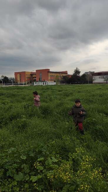 Two children stand in a lush, green grassy field under a cloudy, gray sky. Colorful buildings and trees are visible in the background, creating a peaceful scene.