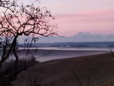 L'image représente un paysage serein avec un arbre au premier plan, un vaste champ et une majestueuse chaîne de montagnes au loin, sur fond de ciel rose.