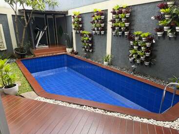 This image shows a small, modern backyard with a blue-tiled pool, wooden deck, treadmill, potted plants, and vertical garden on the concrete wall. Peaceful ambiance.