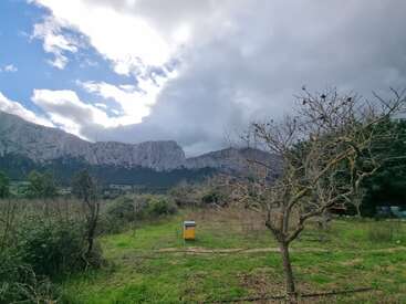 Un paysage rural avec un ciel nuageux, des montagnes escarpées en arrière-plan, un arbre sans feuilles, un champ herbeux et une ruche jaune isolée près du centre.