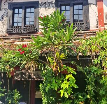 This image shows "The Baboon House," a rustic building with artistic wall designs, large windows, and lush green plants in front, under a clear blue sky.
