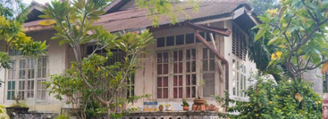 An old wooden house with large windows and a rusty roof stands surrounded by lush green plants and trees, giving it a charming, rustic appearance.