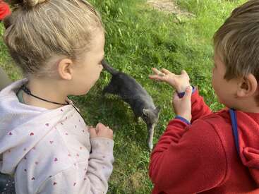 Duas crianças estão em pé na grama verde, uma menina com um moletom claro e um menino com um moletom vermelho. Eles observam um gato cinza caminhando em direção a eles com curiosidade.