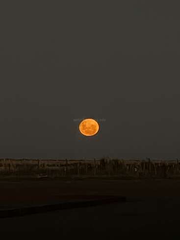 A bright orange full moon rises above a dark, flat landscape. The sky is almost completely black, creating a striking contrast with the glowing moon.