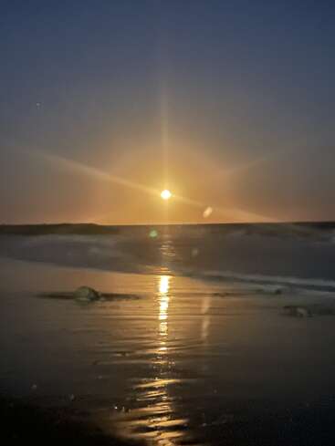 A bright full moon rises over the ocean, casting a golden reflection on the wet sand and gentle waves under a clear, darkening twilight sky.