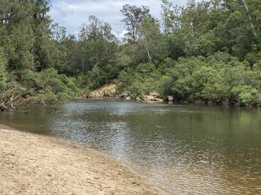 Un río tranquilo serpentea entre frondosos árboles, bordeado por una orilla arenosa bajo un cielo nublado. Un entorno natural y tranquilo, ideal para relajarse o explorar.