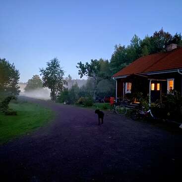 Une scène nocturne paisible avec une maison au toit rouge, des fenêtres illuminées, des vélos, un chien au pelage foncé, une végétation luxuriante, de la brume qui s'élève au loin et un ciel bleu serein.
