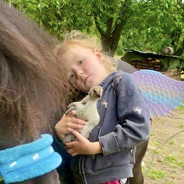 Une jeune fille tient un poulet dans ses bras, adossée à un poney noir, et porte des ailes de fée aux couleurs de l'arc-en-ciel. Elle a l'air pensive, entourée de verdure en cette journée paisible.