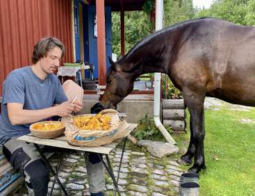 Un homme est assis à une petite table en plein air, en train d'éplucher des champignons, tandis qu'un cheval curieux se tient à proximité, reniflant les champignons. L'atmosphère est détendue et champêtre.