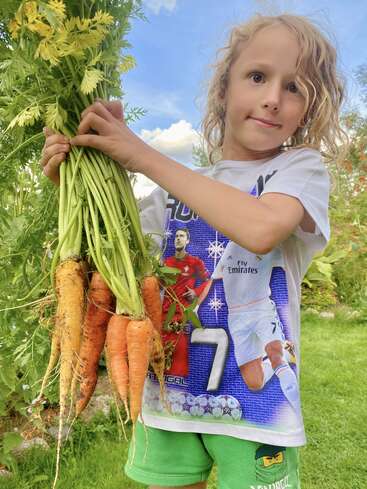 Un jeune enfant, debout dans un jardin, tenant fièrement un gros bouquet de carottes fraîchement récoltées, vêtu d'un t-shirt sur le thème du sport et d'un short vert.