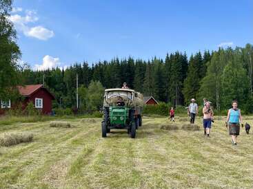 Un tracteur vert traverse un champ ensoleillé et verdoyant, tandis que des gens et des chiens se promènent à proximité ; des maisons rouges et des forêts denses composent le décor pittoresque sous un ciel bleu.