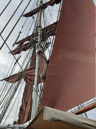 This image shows the tall mast of a sailing ship, with brown canvas sails unfurled, numerous ropes, rigging, and wooden spars against a cloudy sky.