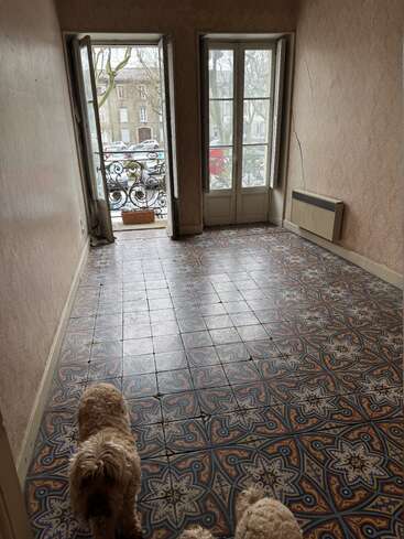 Ein leerer Raum mit verzierten, gemusterten Fliesen, zwei Fenstertüren, die auf einen kleinen Balkon führen, einer rissigen Wand, einer Heizung und zwei kleinen Hunden mit lockigem Fell, die drinnen stehen.