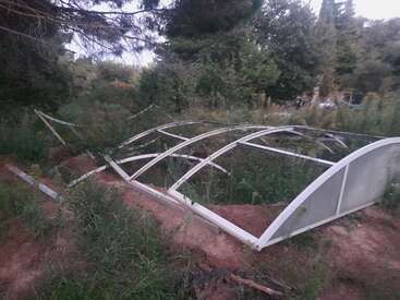 En esta imagen, el armazón de un invernadero derruido yace en el suelo entre maleza y plantas, rodeado de densos árboles y vegetación en un entorno rural.