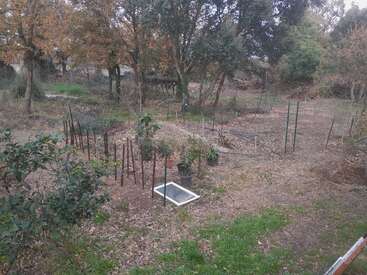 Cette image montre un petit jardin clôturé avec de jeunes plantes et des arbres en pot. Le jardin est entouré d'arbres aux feuilles automnales et de quelques touches de verdure.