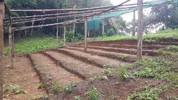 Esta imagen muestra bancales de tierra bajo una sencilla estructura de madera en forma de pérgola. Alrededor crece una vegetación rala, con árboles arbolados al fondo, lo que sugiere un entorno agrícola.