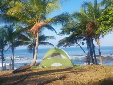 Una tienda de campaña verde se encuentra bajo altas palmeras en una zona cubierta de hierba cerca de la orilla del océano, con olas azules, cielo despejado y sol que crean una escena tranquila.