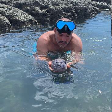Un hombre con gafas de buceo azules está de pie en aguas poco profundas y rocosas, sosteniendo un pez globo redondo y moteado. Ambos parecen tranquilos, rodeados de agua clara y rocas.