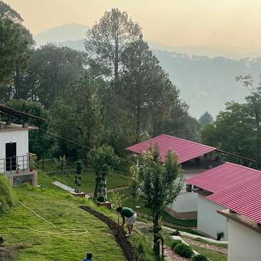 A peaceful hillside scene with lush greenery, tall pine trees, red-roofed cottages, a misty mountainous background, and people gardening on a freshly mowed grassy slope.