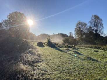L'image représente une matinée ensoleillée où la brume s'élève au-dessus d'un champ verdoyant, entouré d'arbres qui projettent de longues ombres, créant ainsi une atmosphère paisible, sereine et vivifiante.