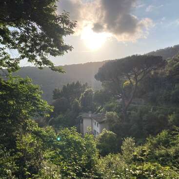 Das Bild zeigt eine ruhige Szene mit einem Haus inmitten von üppigem Grün und Bäumen, mit einer majestätischen Bergkette im Hintergrund unter einem bewölkten Himmel.