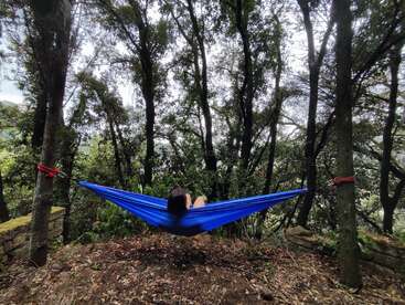 Uma pessoa relaxa em uma rede azul brilhante, suspensa entre duas árvores em um ambiente tranquilo de floresta, cercada por vegetação exuberante e natureza pacífica.