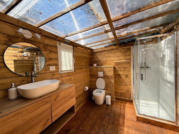 This image shows a rustic bathroom with wooden walls and floor, a clear roof, a modern sink, toilet, glass shower, and a round mirror. Bright natural light.